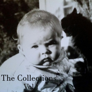 The Collections, Vol 1
