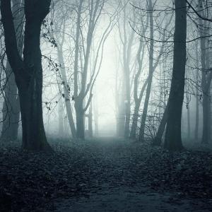 ดาวน์โหลดและฟังเพลง ATM (Explicit) พร้อมเนื้อเพลงจาก Kdkbo