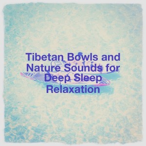 Album Tibetan Bowls and Nature Sounds for Deep Sleep Relaxation oleh Meditation Atmospheres