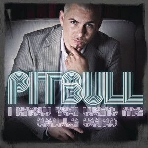 ดาวน์โหลดและฟังเพลง I Know You Want Me (Calle Ocho) (Extended Mix) พร้อมเนื้อเพลงจาก Pitbull