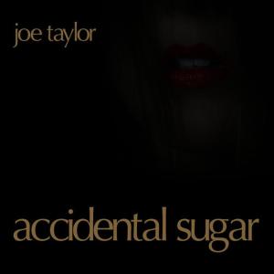 ดาวน์โหลดและฟังเพลง I Just Wanna Stop พร้อมเนื้อเพลงจาก Joe Taylor