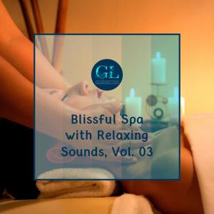 Various的专辑Blissful Spa with Relaxing Sounds, Vol. 03
