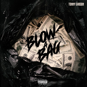 Listen to Blow a Bag (Explicit) song with lyrics from Tommy Gibson