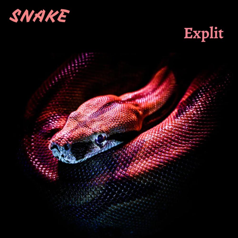 Snake (Explicit)