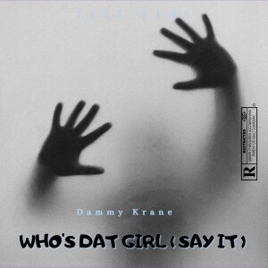 Dammy Krane的专辑WHO'S DAT GIRL ( SAY IT )