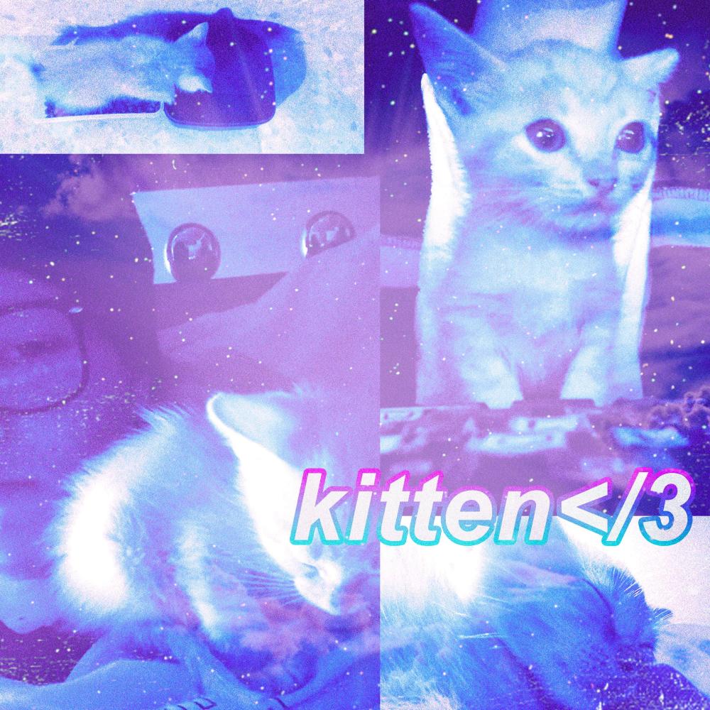 Kitten </3