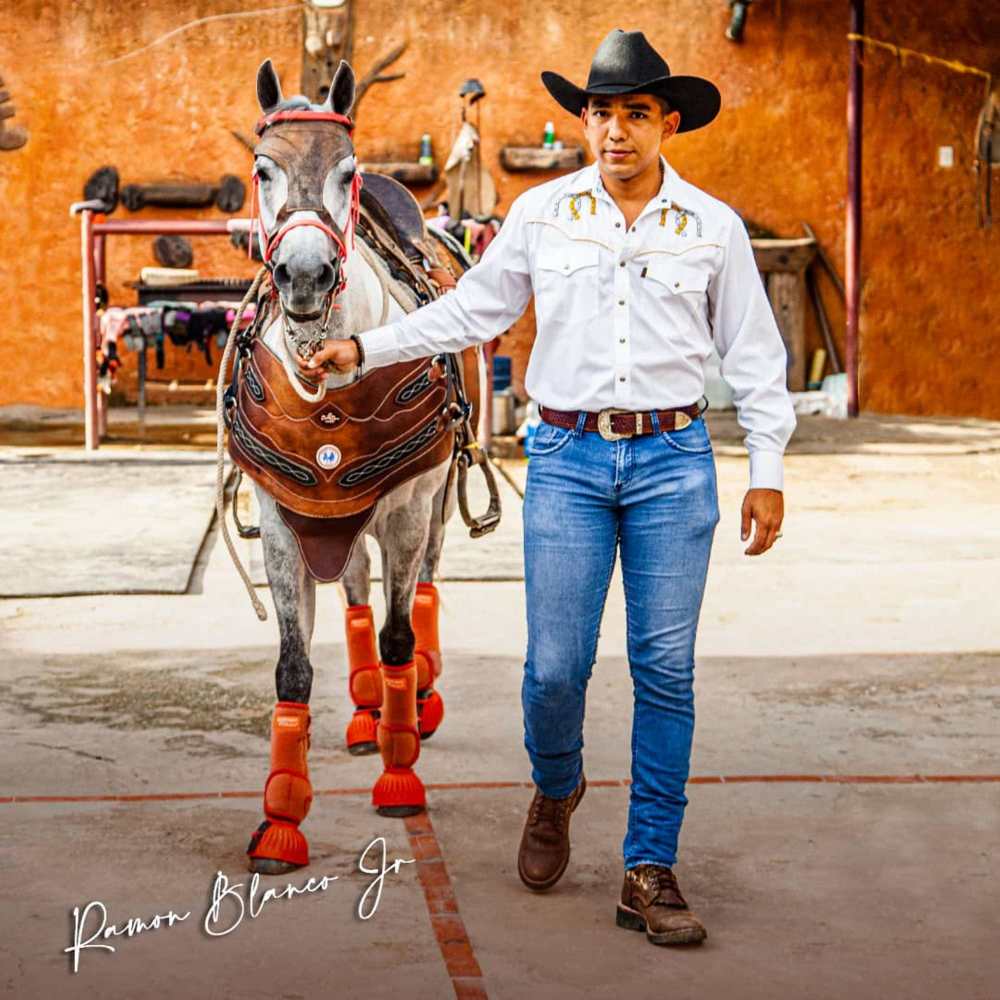 Jinete, Caballo Y Toro