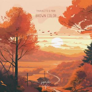 Listen to Brown Color song with lyrics from Paxkalito