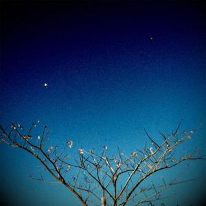 收聽Peter Bradley Adams的The Longer I Run (2012 Version)歌詞歌曲