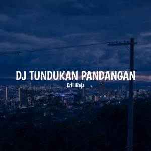 Album DJ Tundukan Pandangan (Remix) oleh Raffa Affar