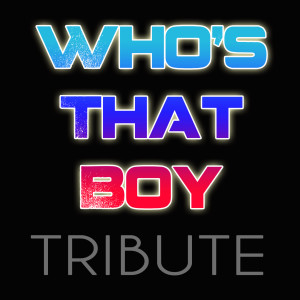 ดาวน์โหลดและฟังเพลง Who's That Boy (Feat. Dev) พร้อมเนื้อเพลงจาก Demi Lovato Cover Band