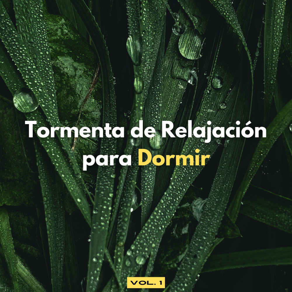 Tormenta De Sueño