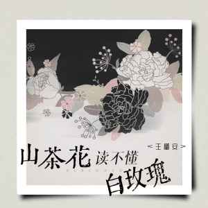 Listen to 山茶花读不懂白玫瑰 song with lyrics from 王守亿