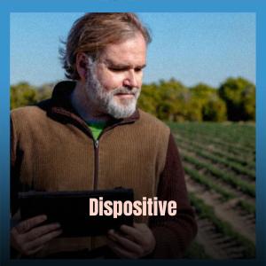 Listen to Liberate Whosoever song with lyrics from Mavo Gollo