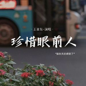ดาวน์โหลดและฟังเพลง 珍惜眼前人 พร้อมเนื้อเพลงจาก 王亚东