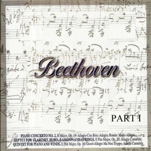 Radio Symphony Orchestra Pilsen的專輯Beethoven - Part I