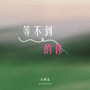 Listen to 等不到的你 song with lyrics from 小阿漾