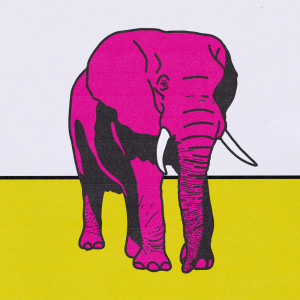 收听No Mic的Elephant歌词歌曲
