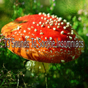 Nature Sounds Nature Music的專輯73 Sounds to Soothe Insomniacs