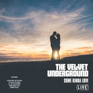 Dengarkan It's Just Too Much (Live) lagu dari Velvet Underground dengan lirik