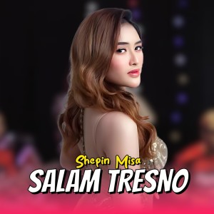Listen to Salam Tresno song with lyrics from Shepin MIsa