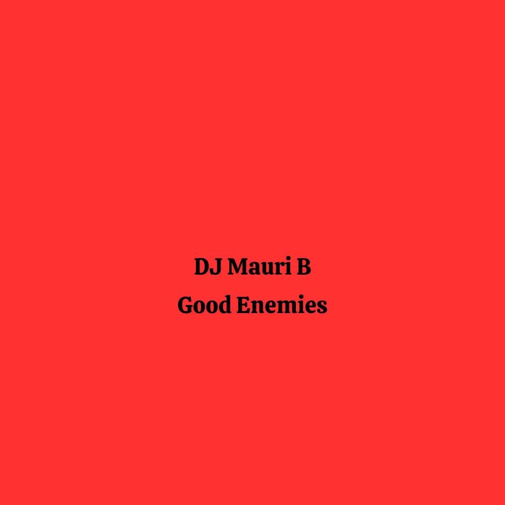 Good Enemies