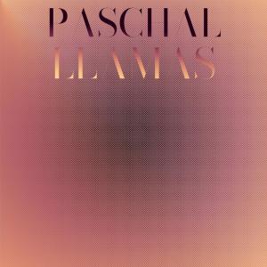 Listen to Rambunctious Vis song with lyrics from Jace Esra