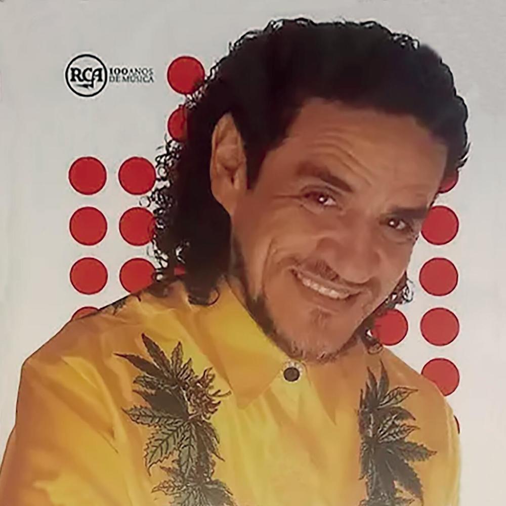 Violando Com Hermeto (Instrumental)