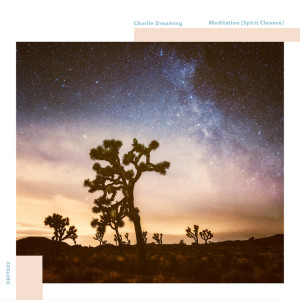 Listen to Meditation (Spirit Cleanse) song with lyrics from Charlie Dreaming
