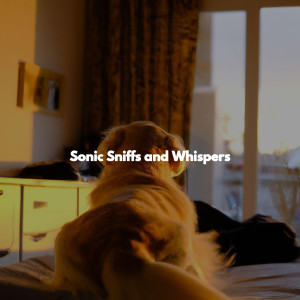 Sonic Sniffs and Whispers