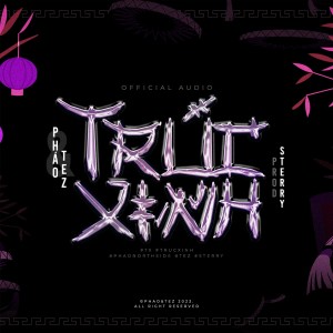 Listen to Trúc Xinh (Original) song with lyrics from Phao
