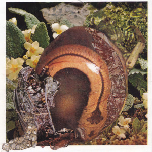 ดาวน์โหลดและฟังเพลง Optikern(7" version) (7" Version) พร้อมเนื้อเพลงจาก Munnen