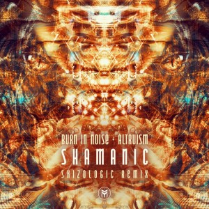 Listen to Shamanic (Skizologic Remix) song with lyrics from Burn In Noise