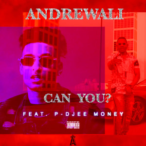 Album Can You? (Explicit) from Andrewali