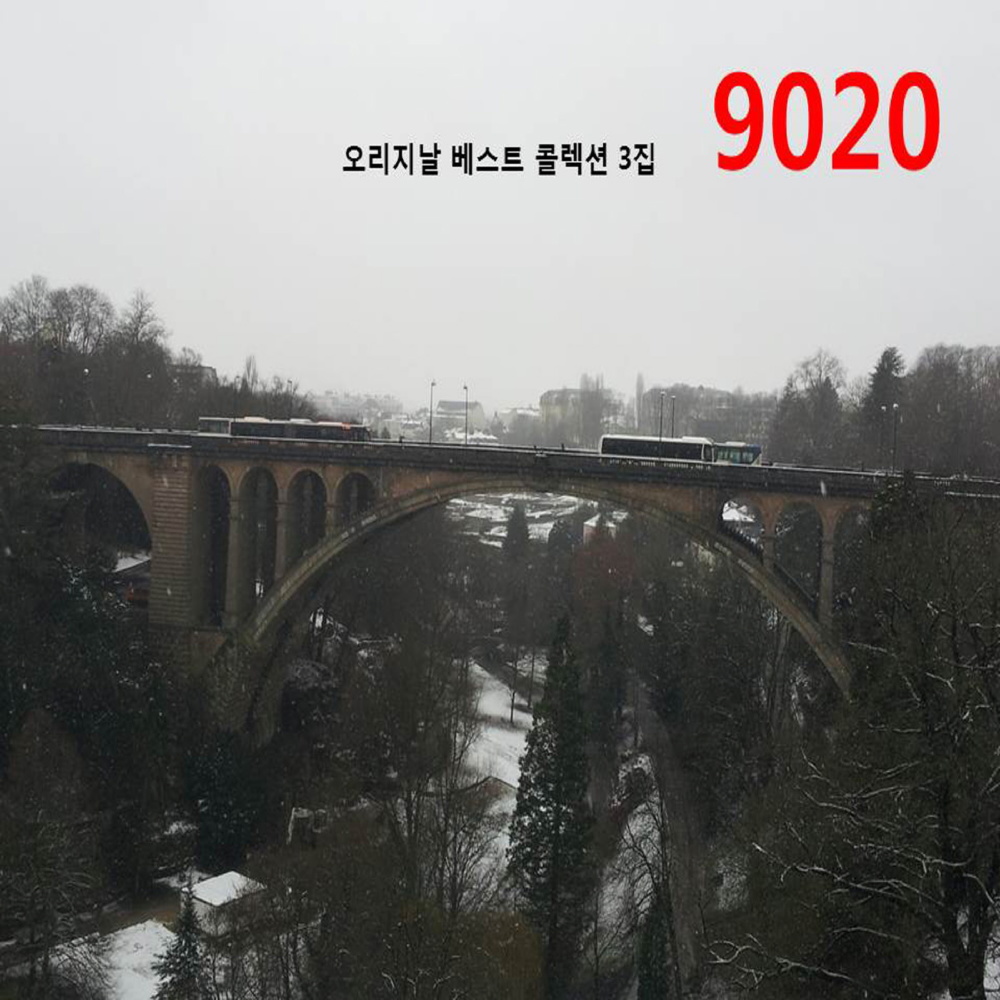 동백꽃피고지고