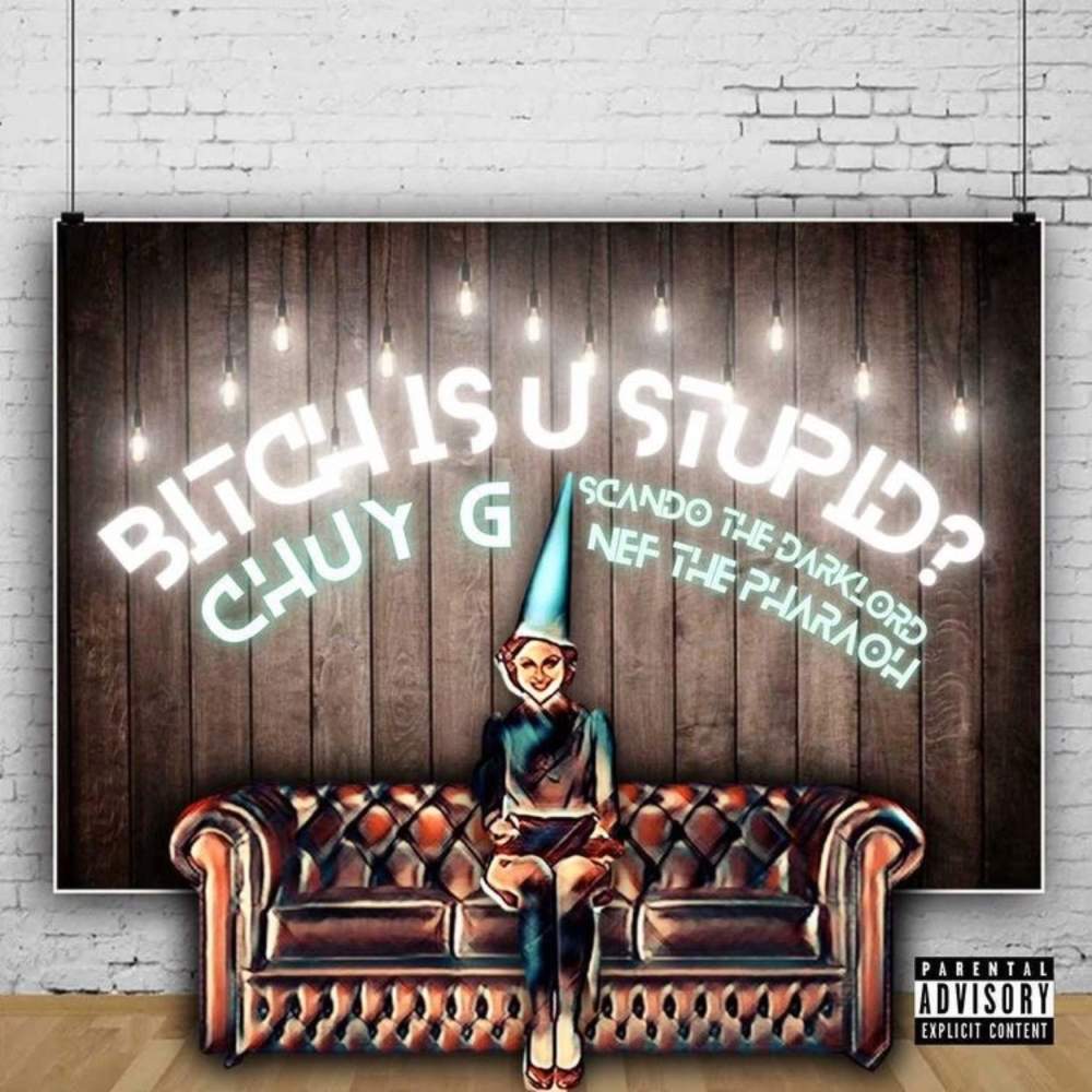 Bitch Is U Stupid? (Explicit)