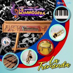 收聽Marimba Orquesta La Pachanguera的La Noche Que Chicago Murió歌詞歌曲