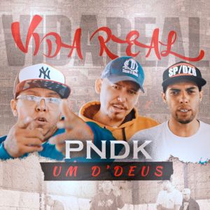 Listen to Vida Real song with lyrics from P.N.D.K