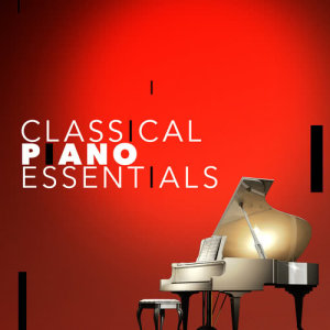 收聽Classical Essentials的Spiegel Im Spiegel歌詞歌曲