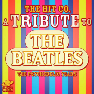 ดาวน์โหลดและฟังเพลง I Am the Walrus พร้อมเนื้อเพลงจาก The Hit Co.