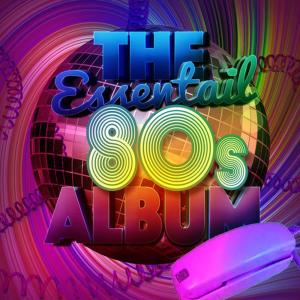 ดาวน์โหลดและฟังเพลง I Hate Myself for Loving You พร้อมเนื้อเพลงจาก Compilation Années 80