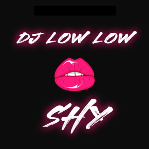 收聽DJ Low Low的Shy歌詞歌曲