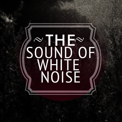 White Noise: Channels