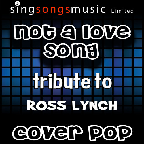 Not a Love Song (Instrumental Version)