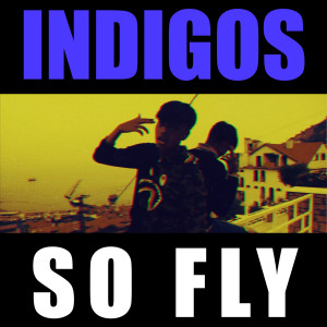 Album So Fly (Explicit) from Indigos
