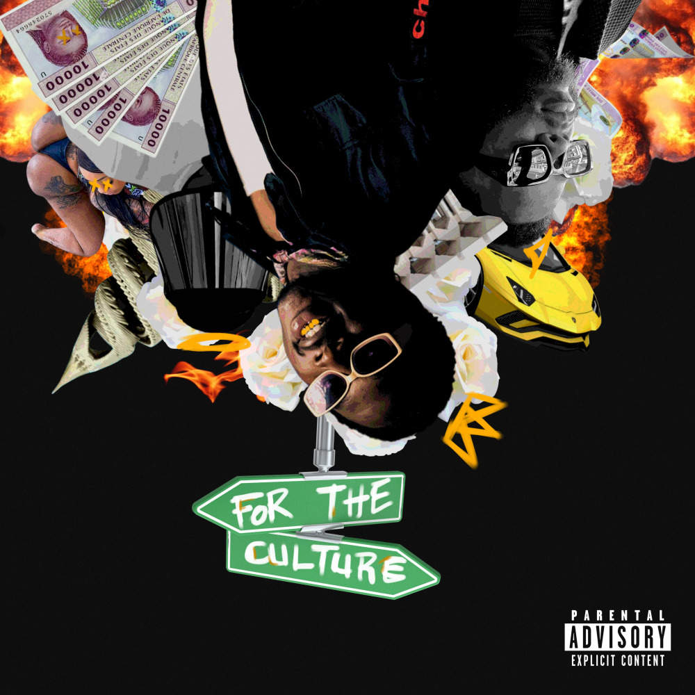 DANS MON SANG (Explicit)