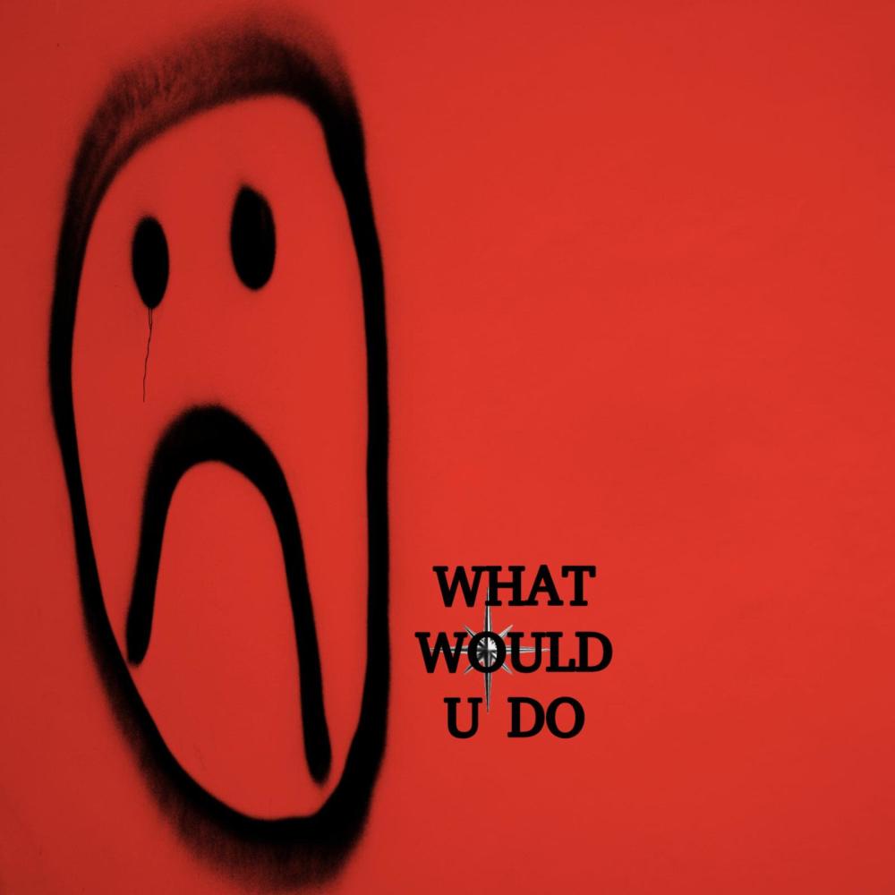 WHAT WOULD U DO