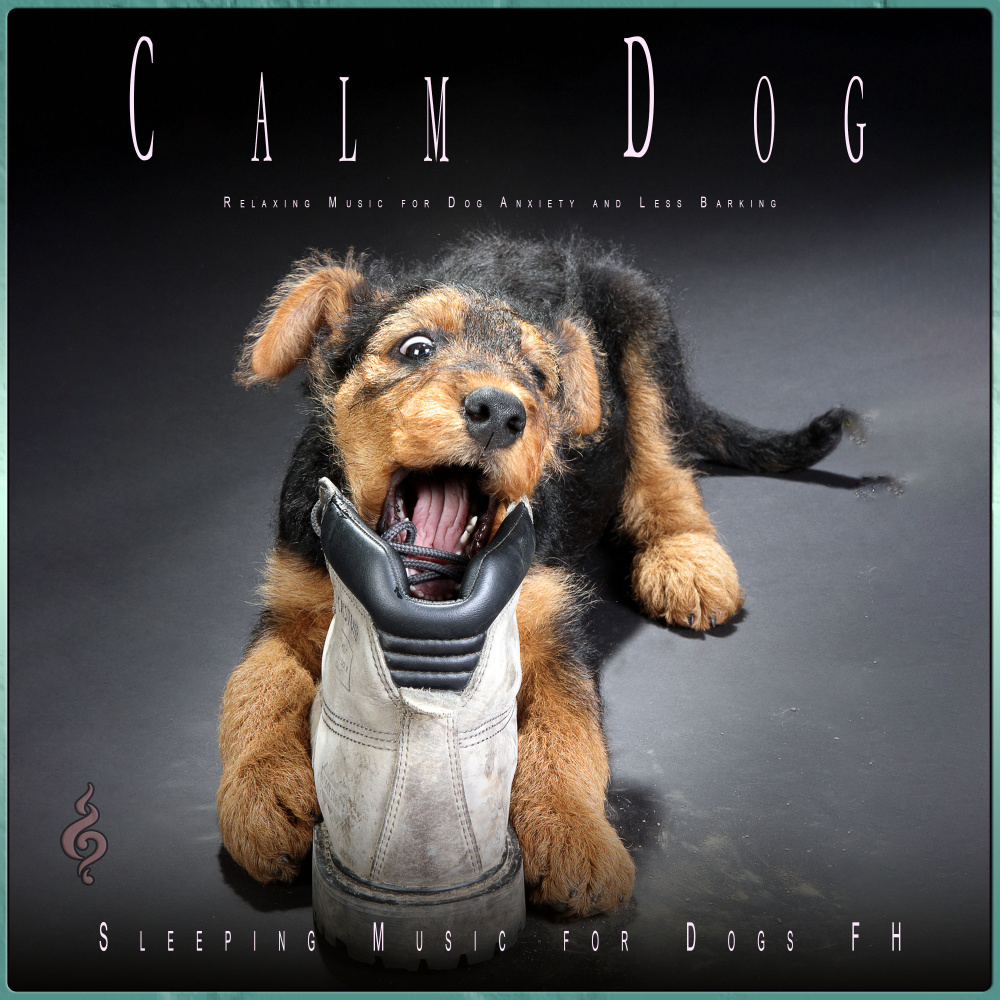 Relaxing Dog Guitar Music