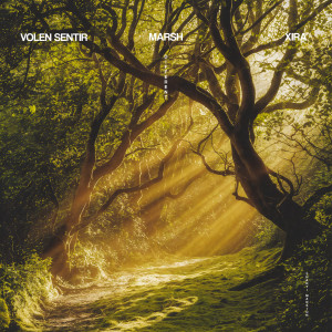 Listen to Different song with lyrics from Volen Sentir