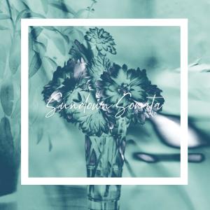 Listen to Sundown Sonata song with lyrics from Morning Dan